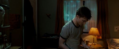OdF-Potterish_0553.jpg