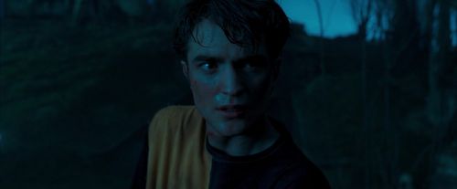 Click to view full size image
==============
OdF-Potterish_0575.jpg OdF-Potterish_0575.jpg