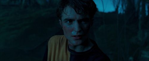 OdF-Potterish_0576.jpg