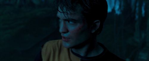 OdF-Potterish_0581.jpg