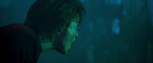 OdF-Potterish_0584.jpg
