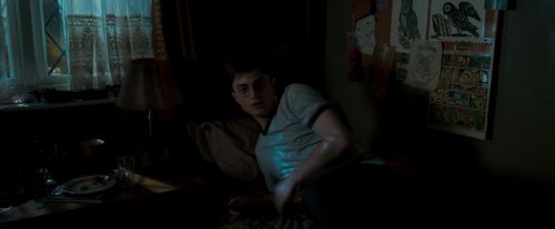 OdF-Potterish_0624.jpg