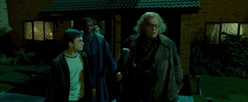 Click to view full size image
==============
OdF-Potterish_0660.jpg OdF-Potterish_0660.jpg