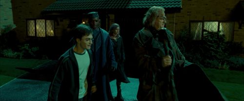 Click to view full size image
==============
OdF-Potterish_0661.jpg OdF-Potterish_0661.jpg