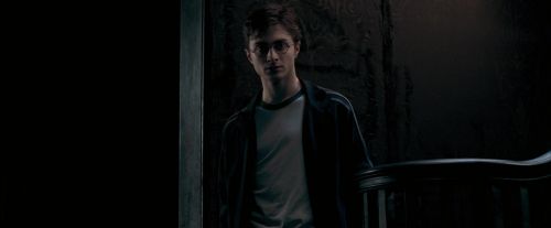OdF-Potterish_0905.jpg