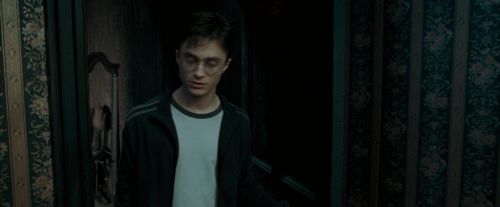 Click to view full size image
==============
OdF-Potterish_0931.jpg OdF-Potterish_0931.jpg
