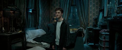 Click to view full size image
==============
OdF-Potterish_0981.jpg OdF-Potterish_0981.jpg