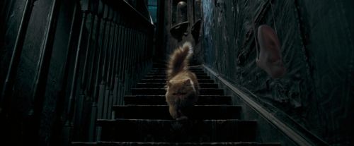 OdF-Potterish_1047.jpg