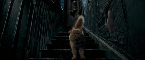 Click to view full size image
==============
OdF-Potterish_1048.jpg OdF-Potterish_1048.jpg