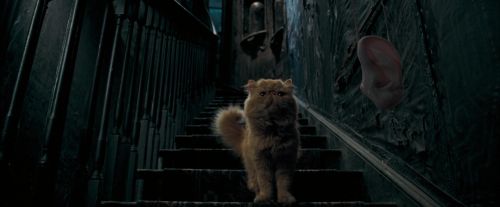OdF-Potterish_1049.jpg