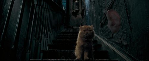 OdF-Potterish_1051.jpg
