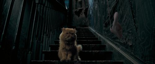 Click to view full size image
==============
OdF-Potterish_1056.jpg OdF-Potterish_1056.jpg