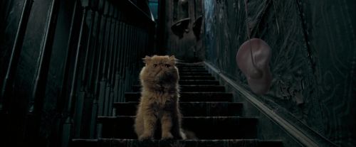 OdF-Potterish_1057.jpg