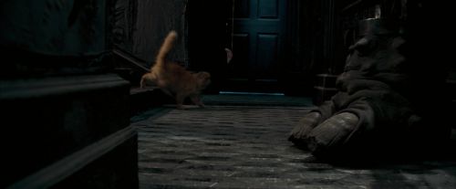 Click to view full size image
==============
OdF-Potterish_1060.jpg OdF-Potterish_1060.jpg