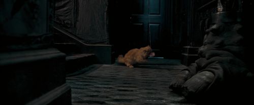 Click to view full size image
==============
OdF-Potterish_1065.jpg OdF-Potterish_1065.jpg