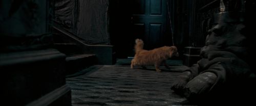 OdF-Potterish_1066.jpg
