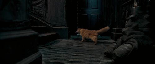 OdF-Potterish_1068.jpg