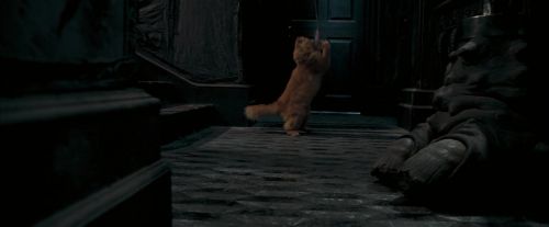 Click to view full size image
==============
OdF-Potterish_1071.jpg OdF-Potterish_1071.jpg