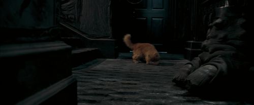 Click to view full size image
==============
OdF-Potterish_1072.jpg OdF-Potterish_1072.jpg