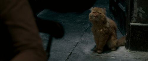 Click to view full size image
==============
OdF-Potterish_1111.jpg OdF-Potterish_1111.jpg