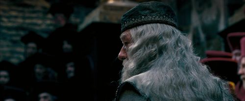 Click to view full size image
==============
OdF-Potterish_1665.jpg OdF-Potterish_1665.jpg