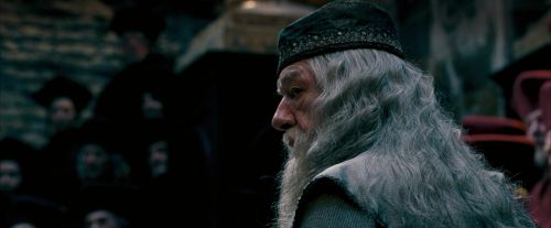 OdF-Potterish_1666.jpg
