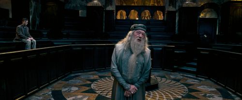 Click to view full size image
==============
OdF-Potterish_1720.jpg OdF-Potterish_1720.jpg