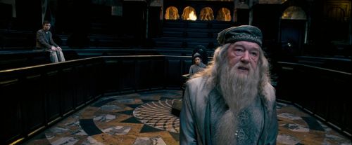 Click to view full size image
==============
OdF-Potterish_1747.jpg OdF-Potterish_1747.jpg