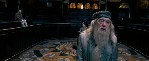 Click to view full size image
==============
OdF-Potterish_1748.jpg OdF-Potterish_1748.jpg