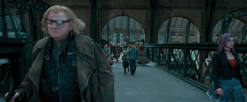 Click to view full size image
==============
OdF-Potterish_1857.jpg OdF-Potterish_1857.jpg