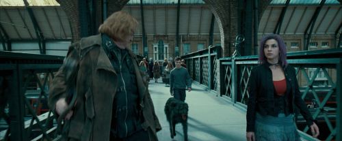 OdF-Potterish_1862.jpg