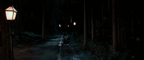 OdF-Potterish_2071.jpg