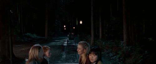 Click to view full size image
==============
OdF-Potterish_2074.jpg OdF-Potterish_2074.jpg