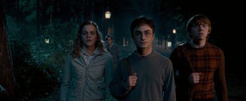 OdF-Potterish_2084.jpg