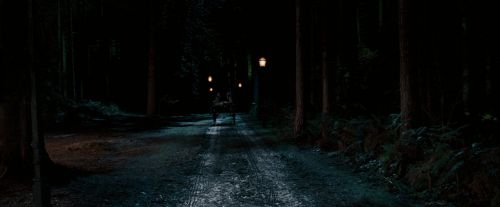 Click to view full size image
==============
OdF-Potterish_2087.jpg OdF-Potterish_2087.jpg