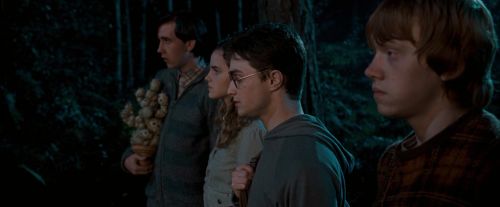 Click to view full size image
==============
OdF-Potterish_2093.jpg OdF-Potterish_2093.jpg