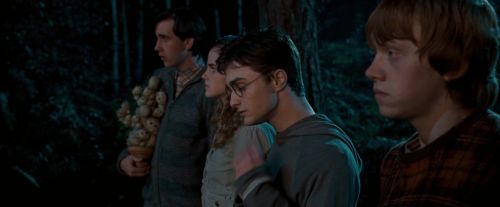 Click to view full size image
==============
OdF-Potterish_2094.jpg OdF-Potterish_2094.jpg
