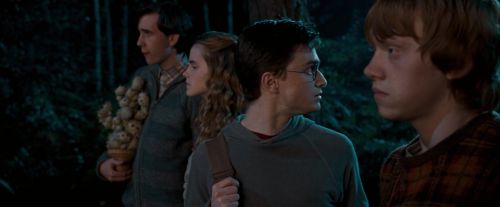 OdF-Potterish_2096.jpg