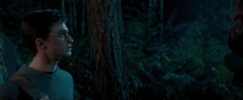 Click to view full size image
==============
OdF-Potterish_2100.jpg OdF-Potterish_2100.jpg