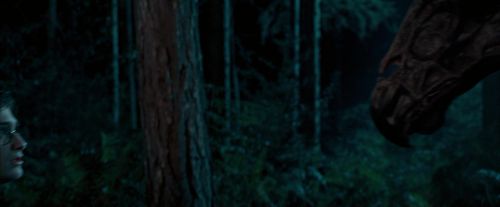 Click to view full size image
==============
OdF-Potterish_2101.jpg OdF-Potterish_2101.jpg