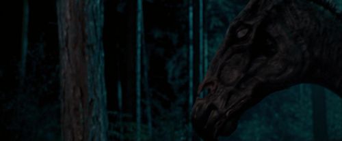 OdF-Potterish_2102.jpg