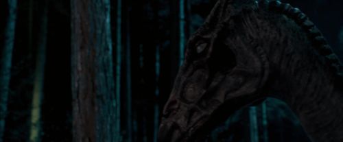 OdF-Potterish_2105.jpg