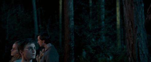 OdF-Potterish_2108.jpg