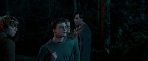 OdF-Potterish_2110.jpg