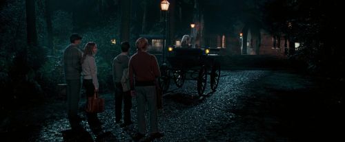 OdF-Potterish_2116.jpg