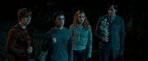 Click to view full size image
==============
OdF-Potterish_2121.jpg OdF-Potterish_2121.jpg
