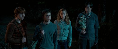 Click to view full size image
==============
OdF-Potterish_2122.jpg OdF-Potterish_2122.jpg