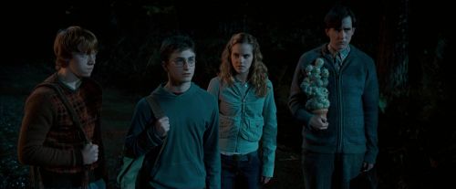 OdF-Potterish_2123.jpg