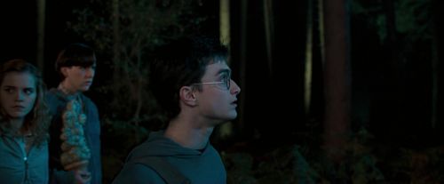 OdF-Potterish_2125.jpg