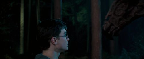 OdF-Potterish_2127.jpg